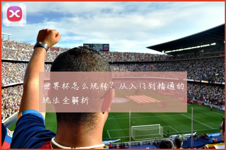 世界杯怎么玩转?从入门到精通的玩法全解析