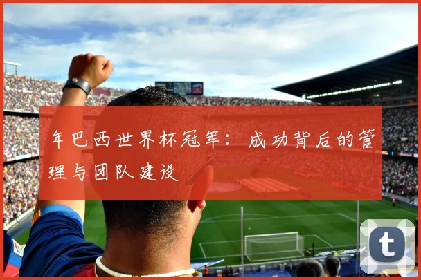 年巴西世界杯冠军：成功背后的管理与团队建设