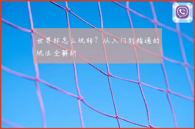 世界杯怎么玩转?从入门到精通的玩法全解析